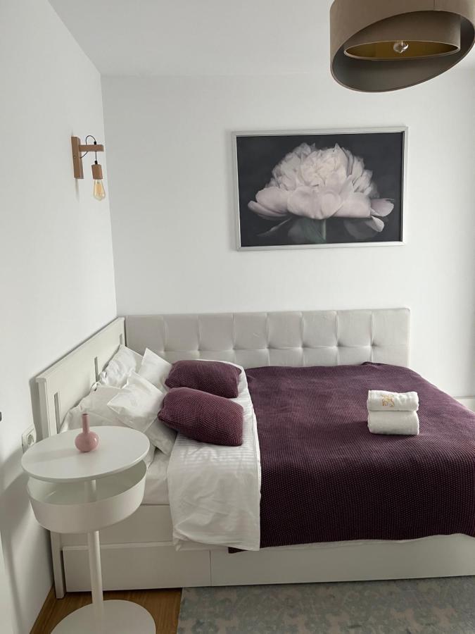 Alma Apartments Сучава Экстерьер фото